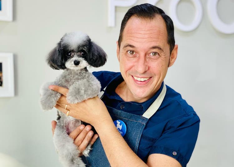 Cuidados del caniche
