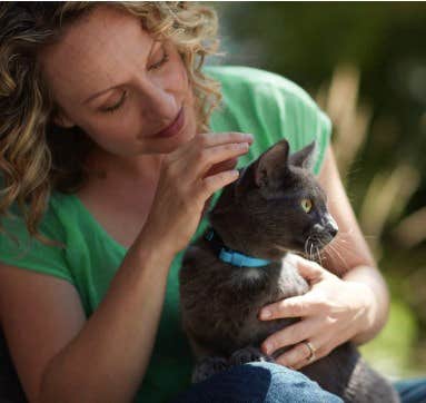A woman checking for fleas on her cat.