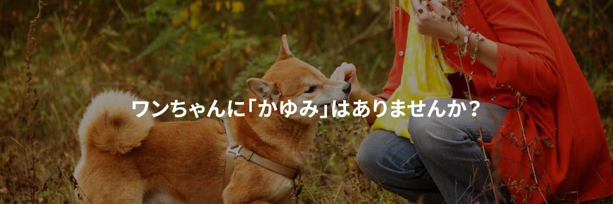 ワンちゃんにかゆみはありませんか?MV