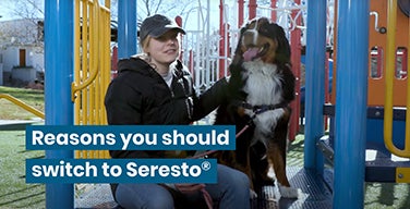 Dog and owner on playground with overlaying text “Reasons you should switch to Seresto”