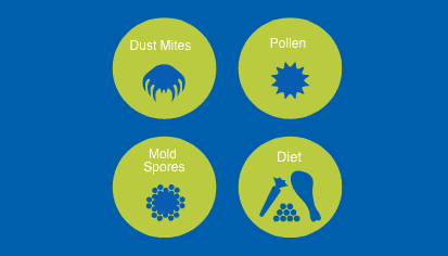 Icons for dust mites, pollen, mold spores and diet.