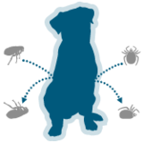 Kills fleas through contact and repels and kills ticks before they bite your pet 