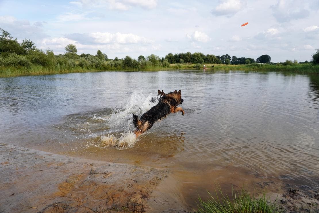 otto_vakantie_1