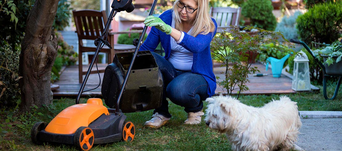 Dog owner mowing grass discouraging ticks, reducing tick borne-disease risk in dog