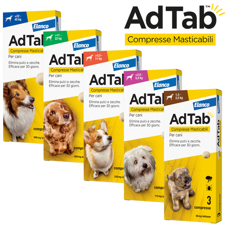Confezioni AdTab cane