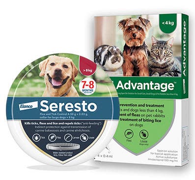 Seresto Advantage flea tick treatment options for dogs and cats 