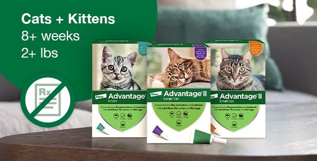 Advantage® II flea treatment pack sizes for small cats, large cats, and kittens 