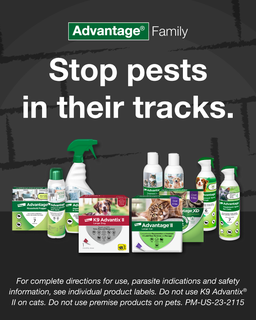 Advantage Family. Stop Pests in Their Tracks.