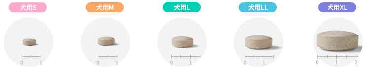 クレデリオ 製品実寸イメージ