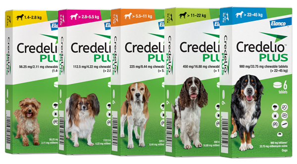 Pack shot of boxes of Credelio Plus for Dogs 