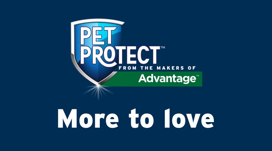 pet protect from Advantage. More to Love