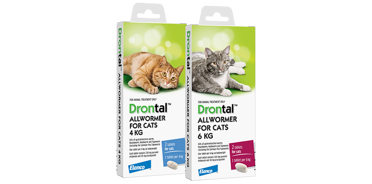 Drontal for cats