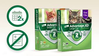 Advantage® XD flea protection for small and large cat packs with a no-prescription icon and a two-month-treatment icon