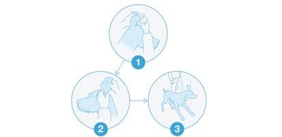 Icons that describe the three steps to cleaning a dog's ears.