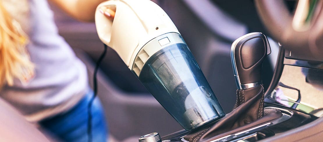 Person hoovering the interior of the car, removing all traces of flea eggs and larvae