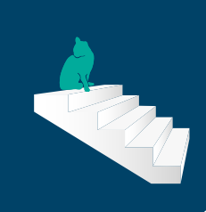 Immagine di gatto con osteoartrite sulle scale