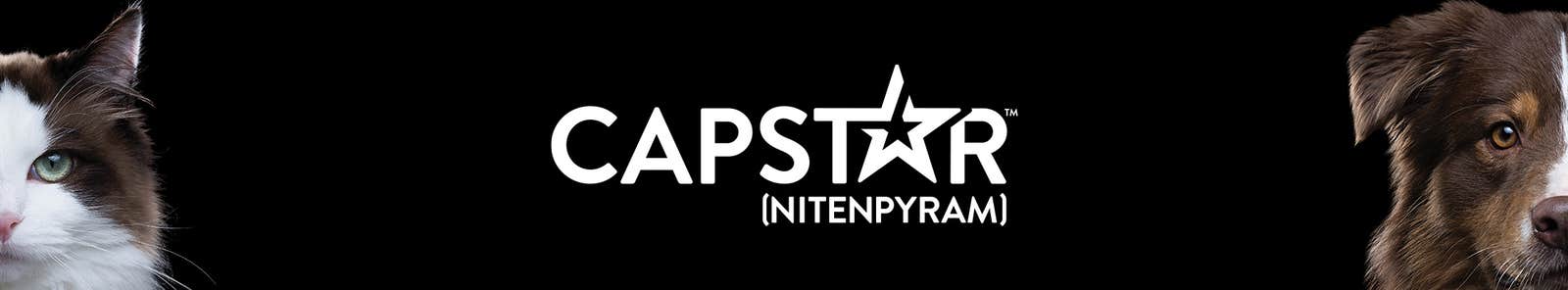 Capstar flea treatment for cats and dogs