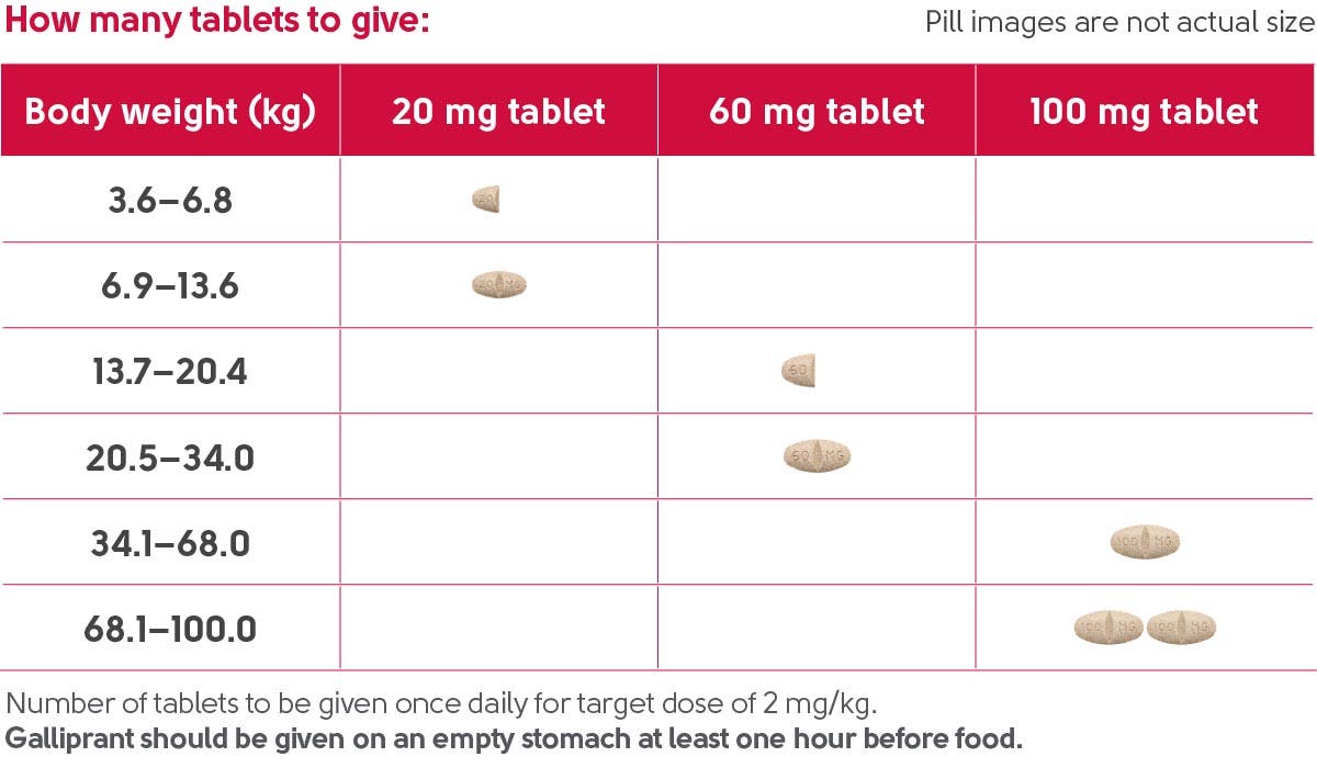 Galliprant dosing table
