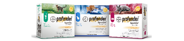 Profender SpotOn para gatos