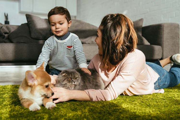 mother and son laying on floor with dog and cat in living room at home