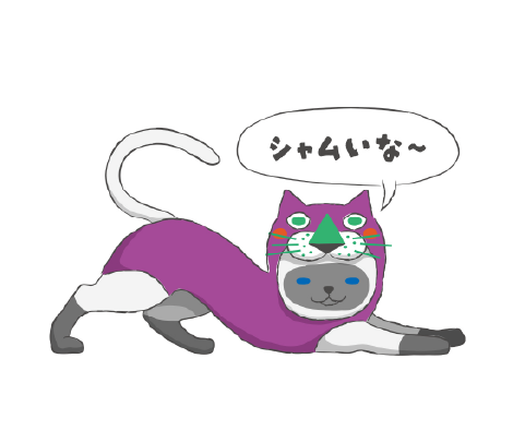 ANSET 待ち受け画像 猫7