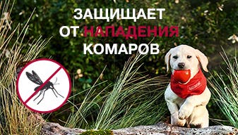 Щенок с платком Адвантикс® в лесу, значок перечеркнутого комара, надпись «Защищает от нападения комаров» 