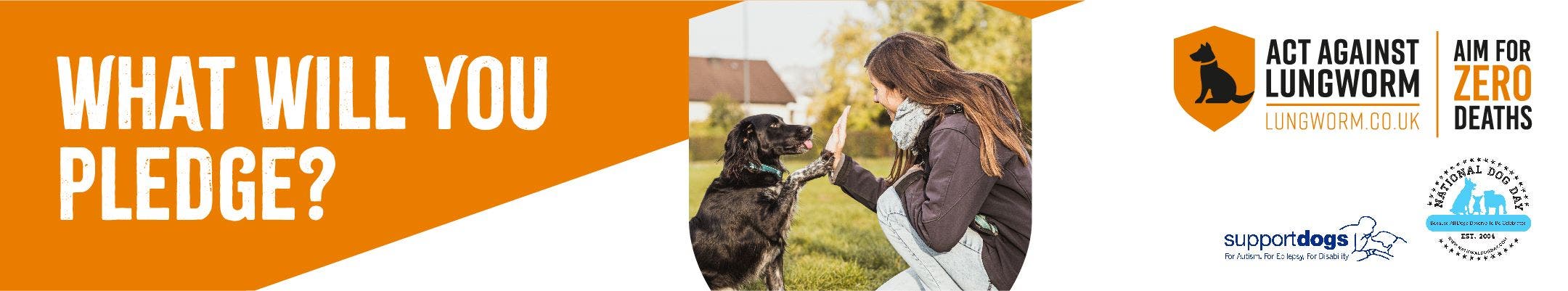 What will you pledge to act against lungworm in dogs