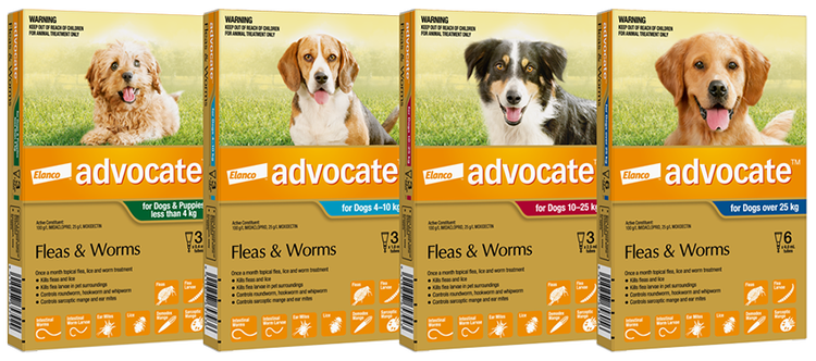 Advocate™ packaging available for dogs in their specific weight range.