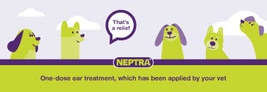 Otitis externa Neptra post prescription thumbnail