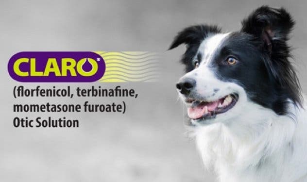 Claro® (florfenicol, terbinafine, mometasone furoate) Otic Solution logo.