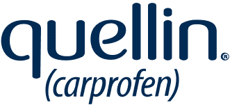 quellin-logo_t