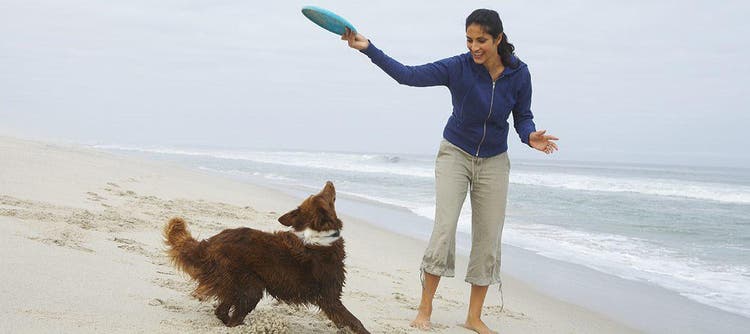 Giocare con il cane 