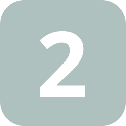 Icon 2
