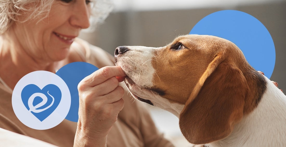 what-causes-heartworms-in-dogs-and-how-to-prevent-it