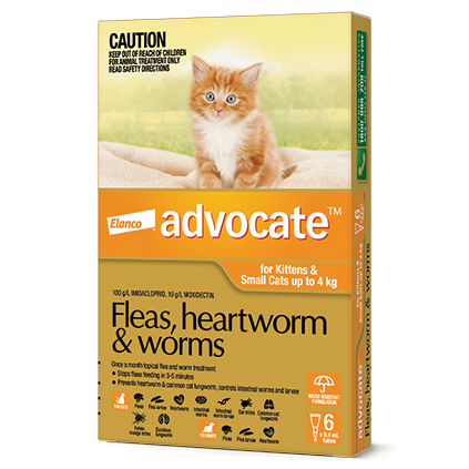 Advocate for kittens and small cats up to 4 kg packshot