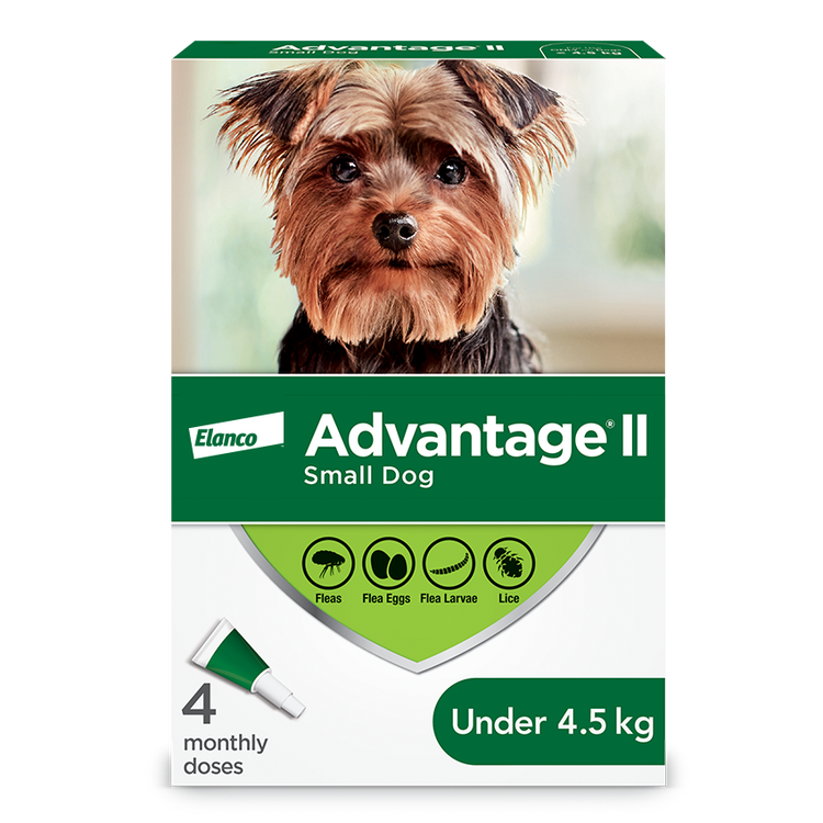Advantage®II Flea Protection for Small Dogs - 4 pack