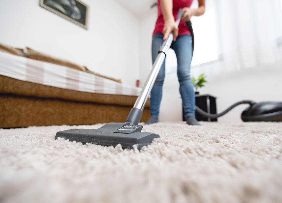 persona_aspirando_una_alfombra_azul_y_blanca_para_eliminar_los_huevos_de_pulga