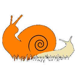 Slugs and snails carry lungworm larvae