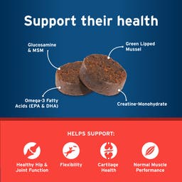Pet Protect Hip & Joint supports health with Glucosamine & MSM, Green Lipped Mussel, Omege-3 fatty acids (EPA & DHA), Creatine-Monohydrate to support healthy hips and joints, flexibility, cartilage, and muscle performance. 
