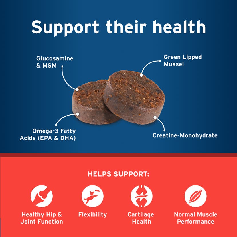 Pet Protect Hip & Joint supports health with Glucosamine & MSM, Green Lipped Mussel, Omege-3 fatty acids (EPA & DHA), Creatine-Monohydrate to support healthy hips and joints, flexibility, cartilage, and muscle performance. 