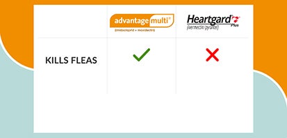 flea treatment comparison chart of Advantage Multi vs Heartgard Plus