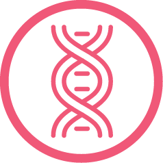 Pamoato de Pirantel e Febantell