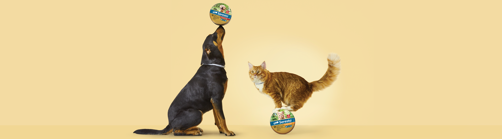 Seresto home page banner