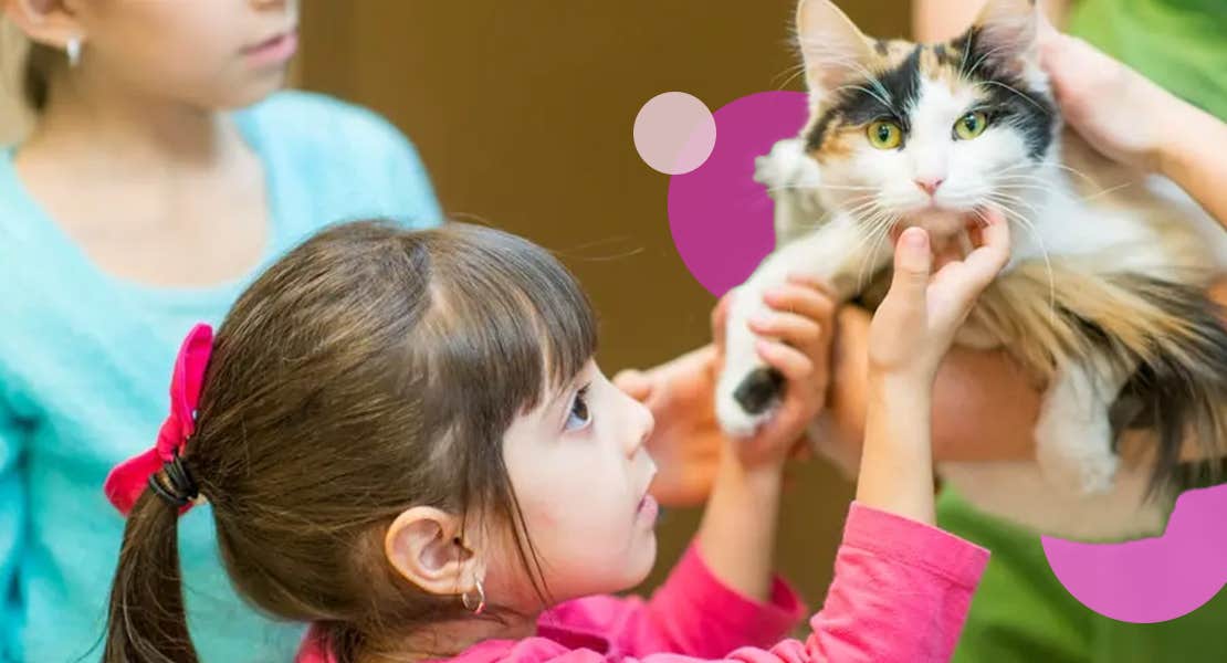Kids petting a long-haired cat