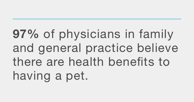 Ninety-seven percent of physicians in family & general practice believe there are health benefits to having a pet.
