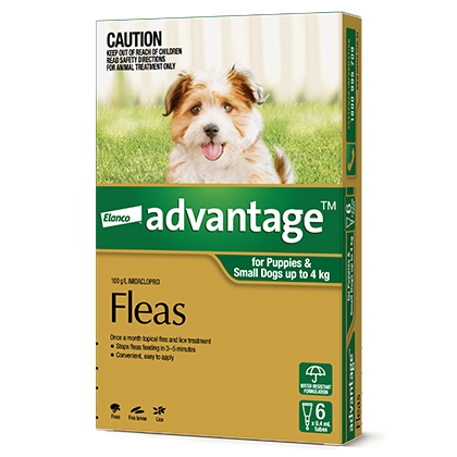 Advantage for puppies and small dogs up to 4 kg packshot