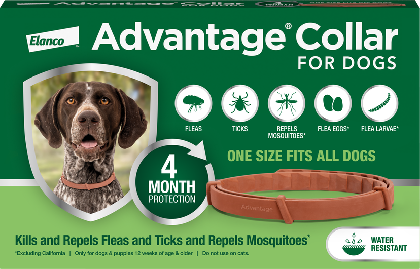 Package for Elanco's Advantage Collar for Dogs. One size fits all dogs. 4-month Protection. Kills and repels fleas and ticks and repels mosquitos.