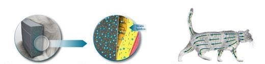 Collare Seresto™ per gatti con matrice polimerica - rilascio lento di imidacloprid e flumetrina, uccide pulci e zecche e riduce il rischio di malattie trasmesse da vettore