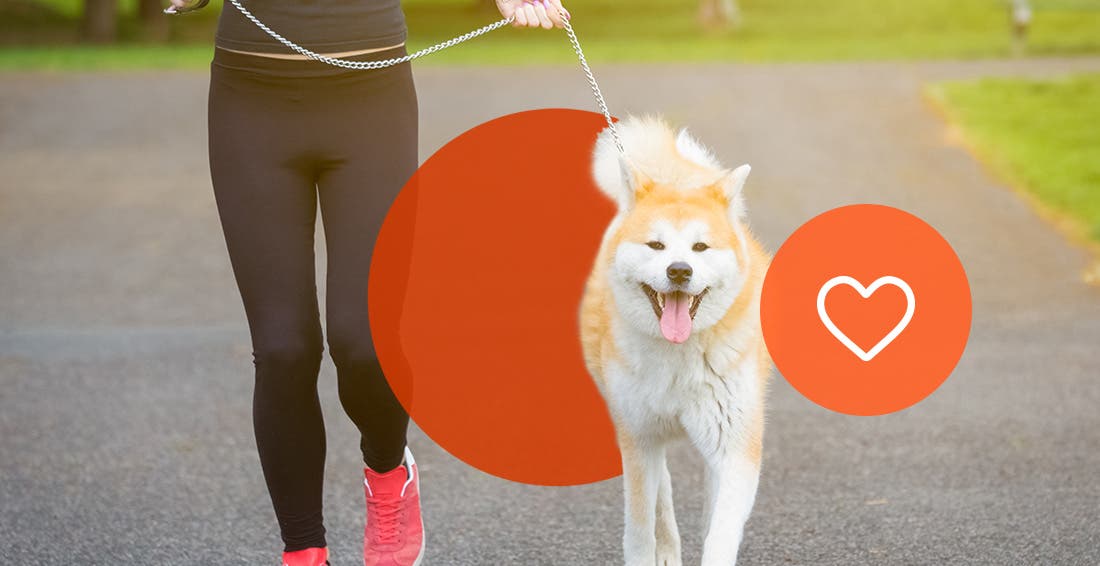 How to Run with Your Dog in 4 Easy Steps
