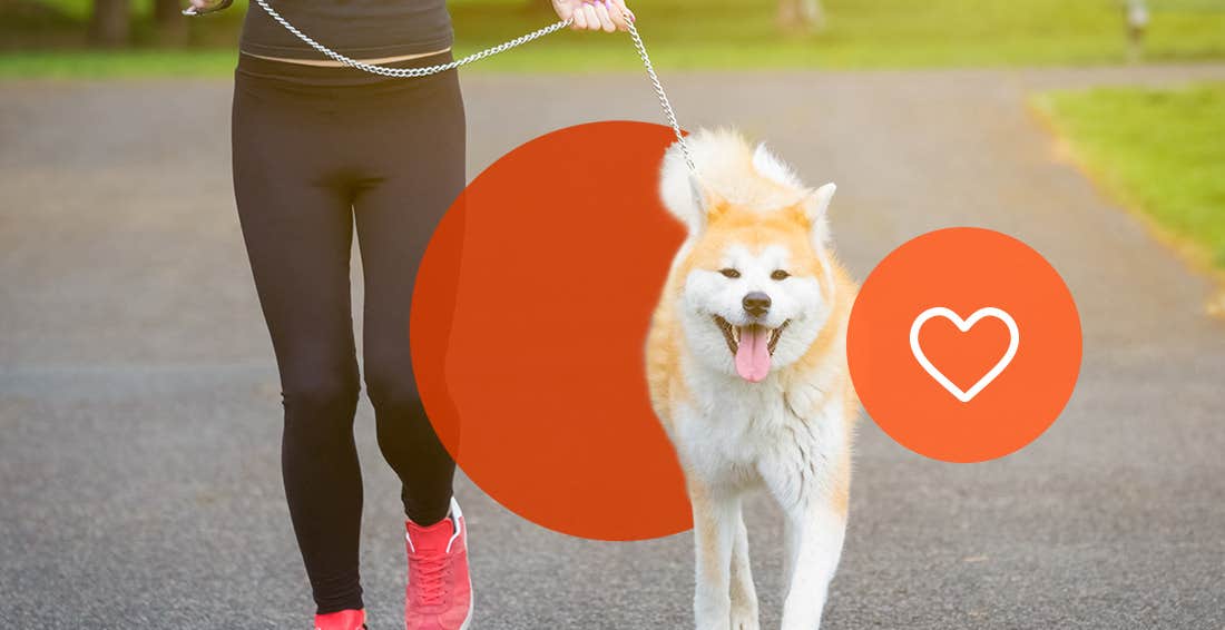 Woman running with an Akita dog